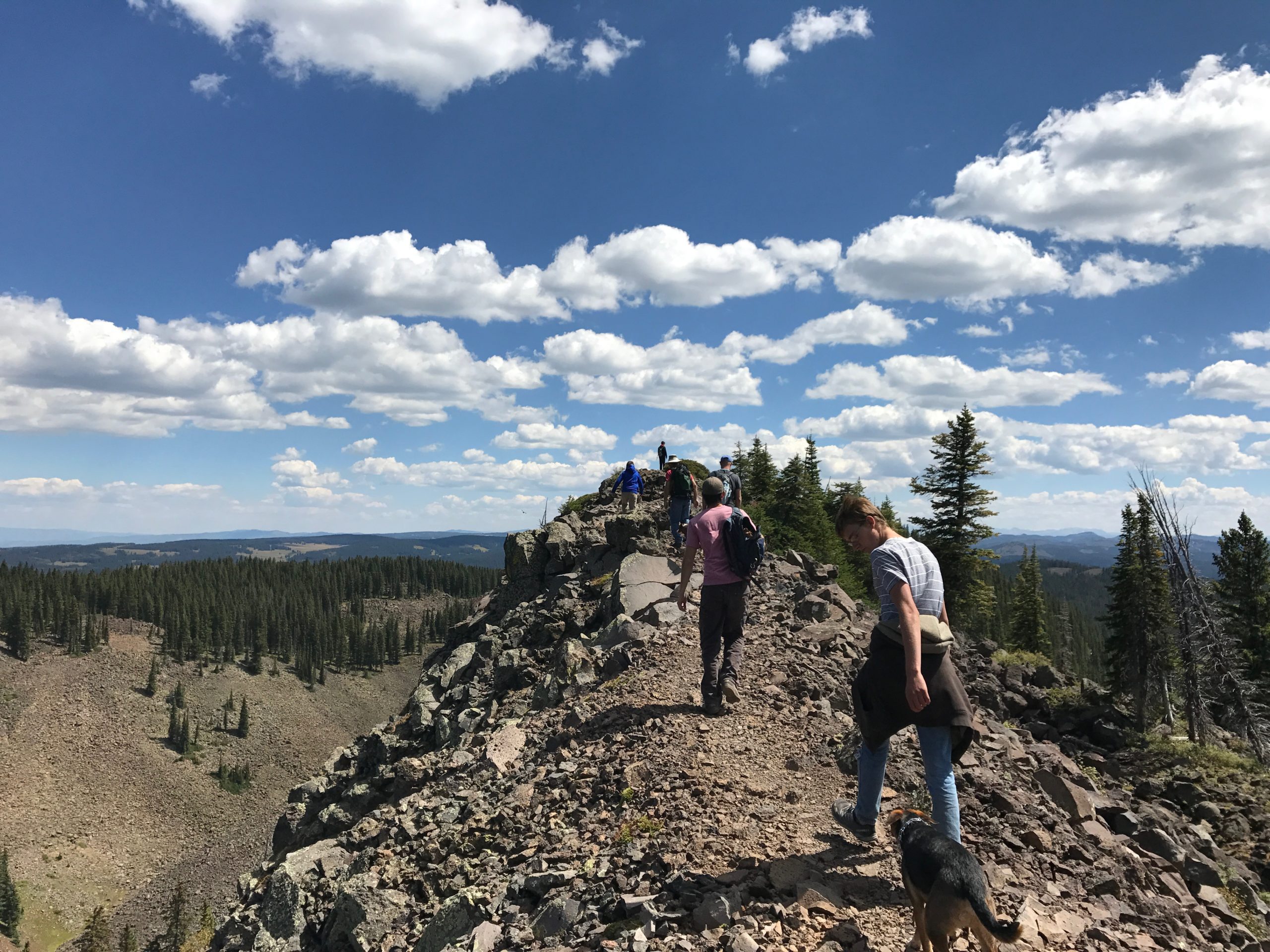 students_hiking_near_summit